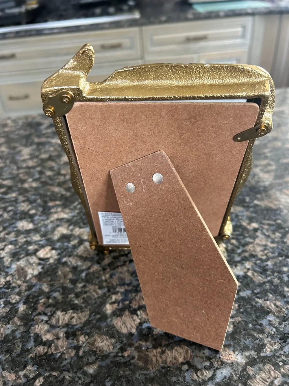 ASHLAND 4x6 GOLD SNAKE FRAME NWT